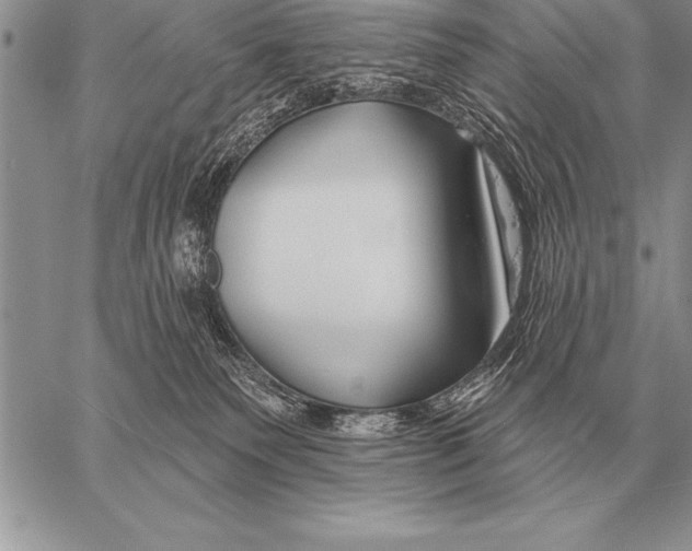 X0000058140135200510171412