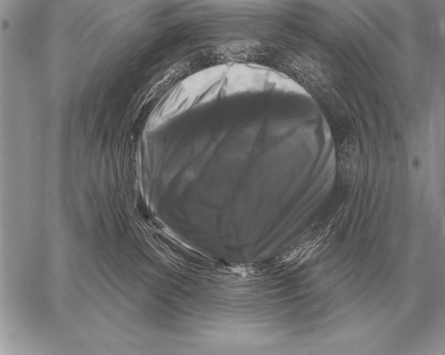 X0000058140139200510171412