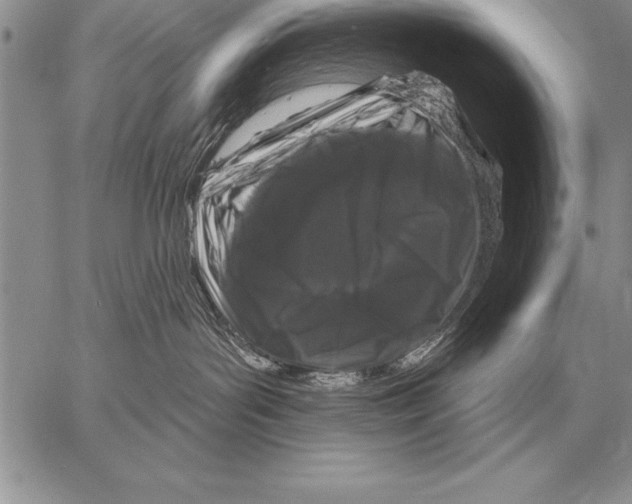 X0000058140143200510171412