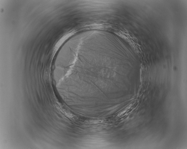 X0000058140147200510171411