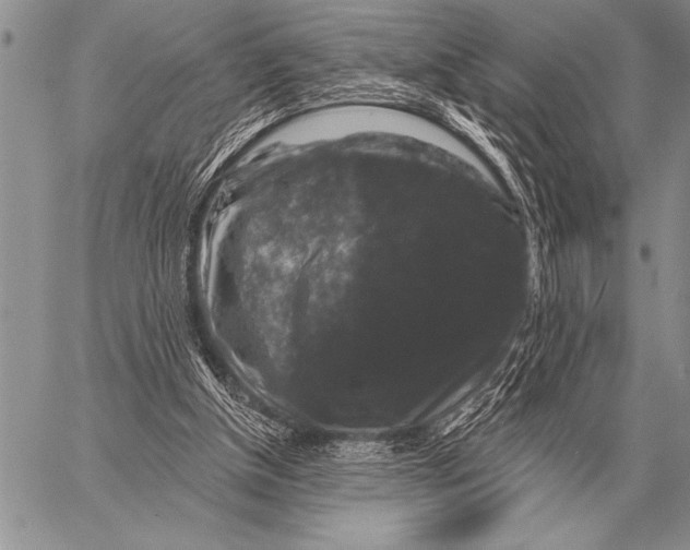 X0000058140154200510171411