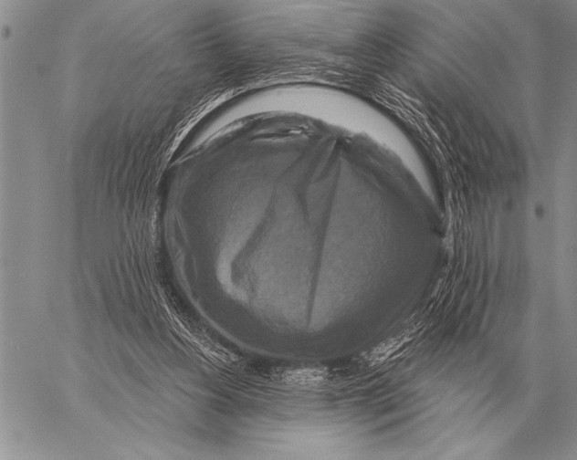 X0000058140156200510171411