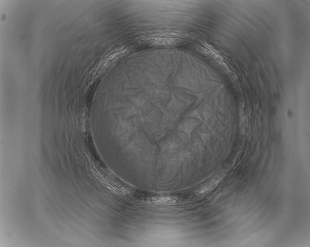 X0000058140161200510171411
