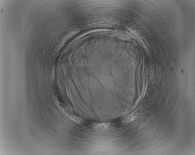 X0000058140163200510171411