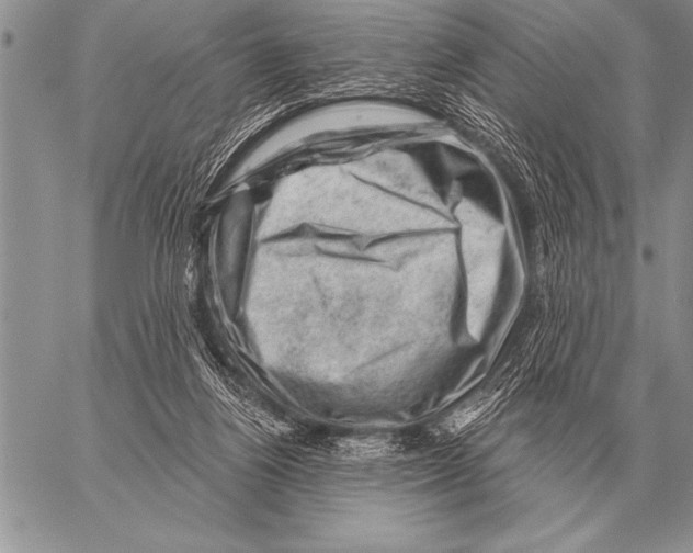 X0000058140164200510171411