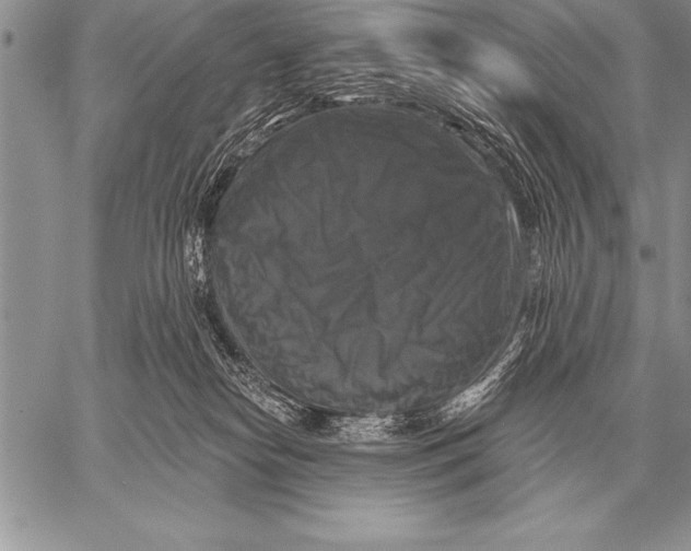X0000058140182200510171412