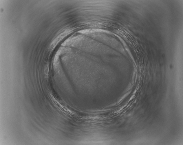 X0000058140194200510171411