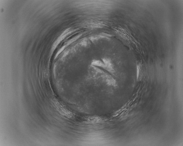 X0000058140195200510171411