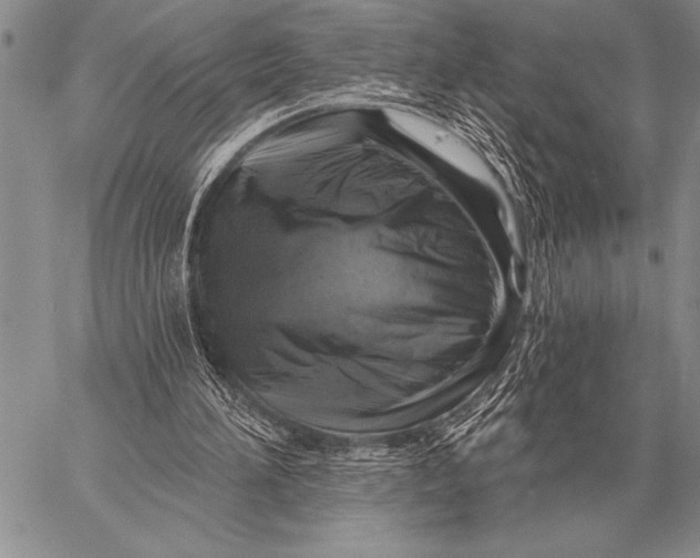 X0000058140196200510171411