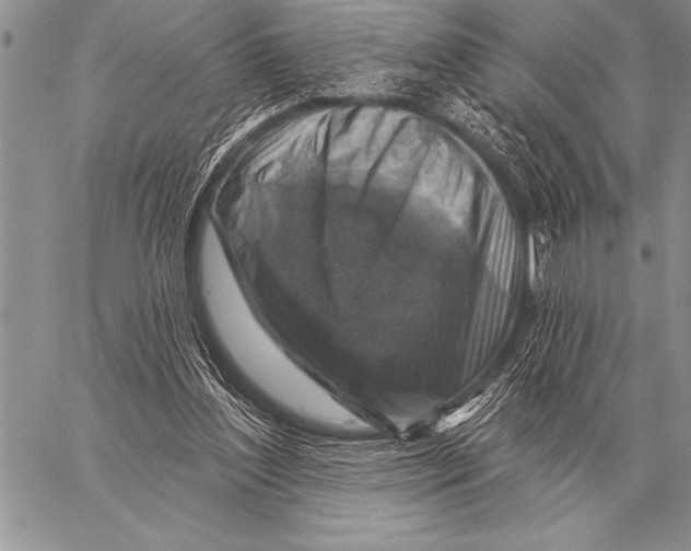 X0000058140204200510171411