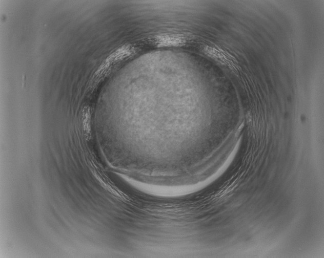 X0000058140215200510171410