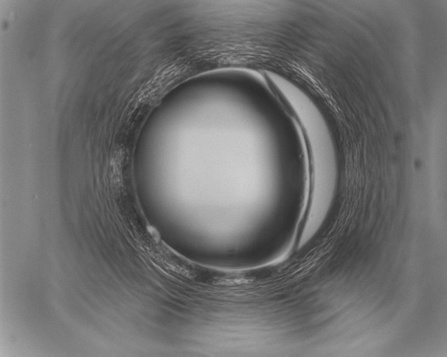 X0000058140217200510171410