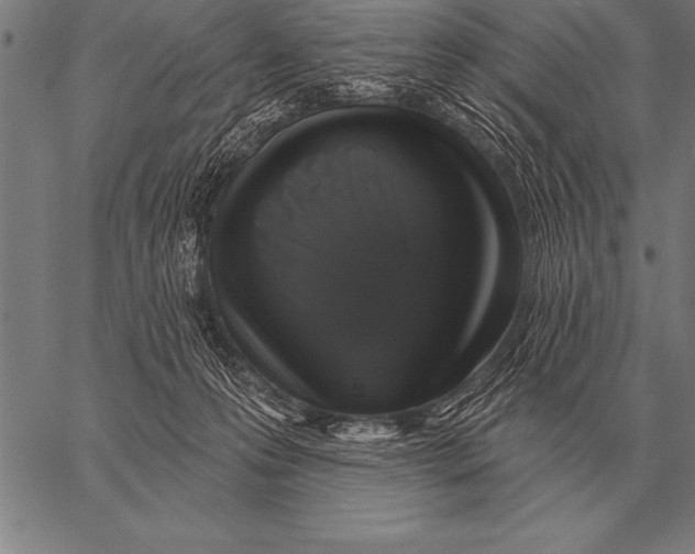 X0000058140223200510171410