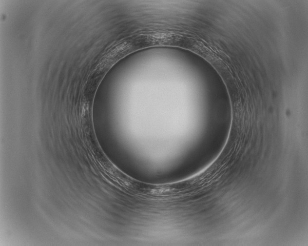 X0000058140225200510171410