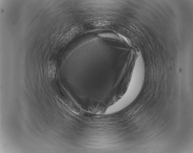 X0000058140227200510171410