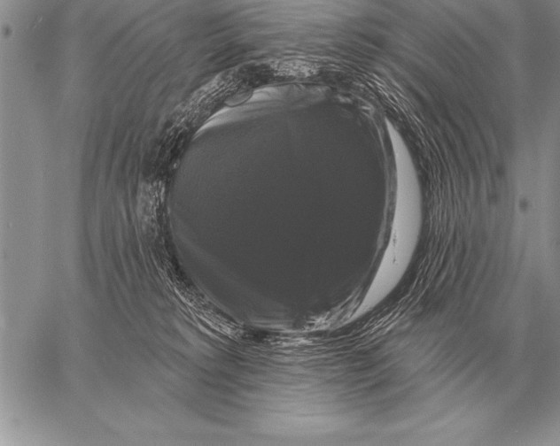 X0000058140229200510171410