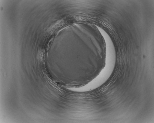 X0000058140233200510171410