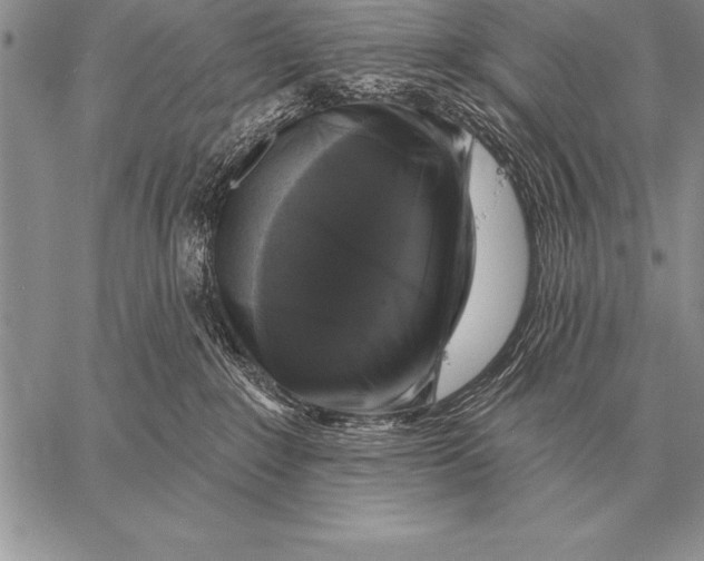 X0000058140235200510171410