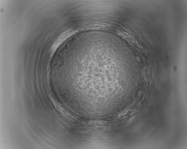 X0000058140242200510171409