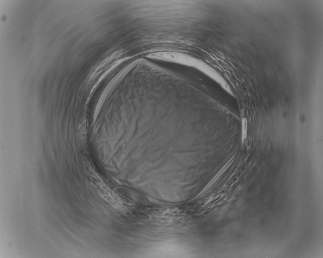 X0000058140243200510171409