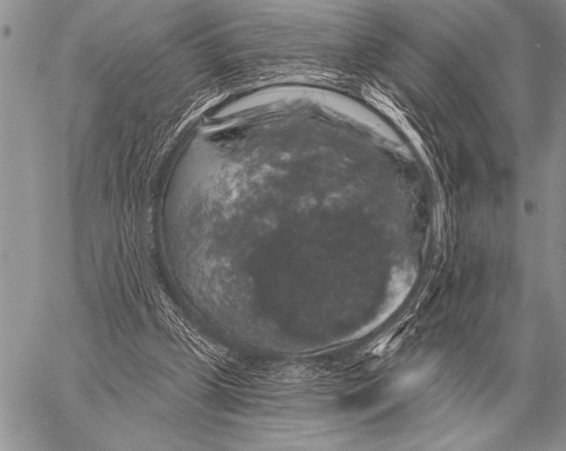 X0000058140249200510171409