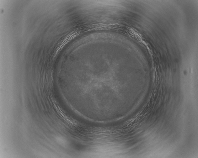 X0000058140250200510171409