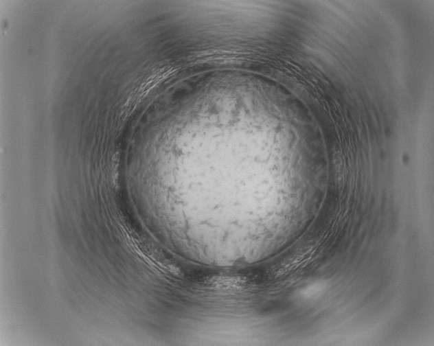 X0000058140255200510171409