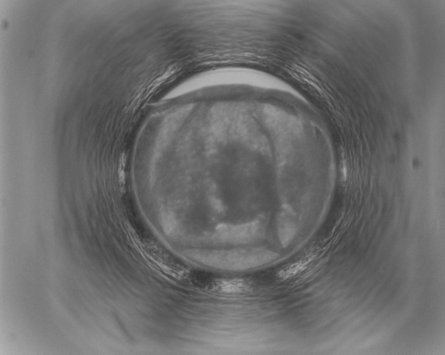 X0000058140264200510171410