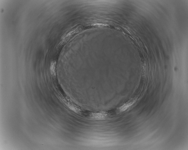 X0000058140286200510171410