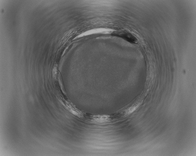 X0000058140288200510171410