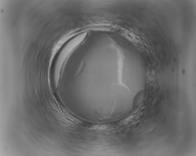 X0000058140294200510171409