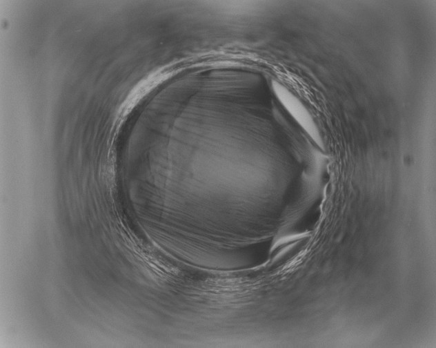 X0000058140295200510171409