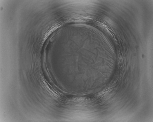 X0000058140299200510171409