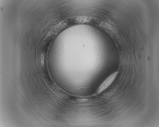 X0000058140315200510171409