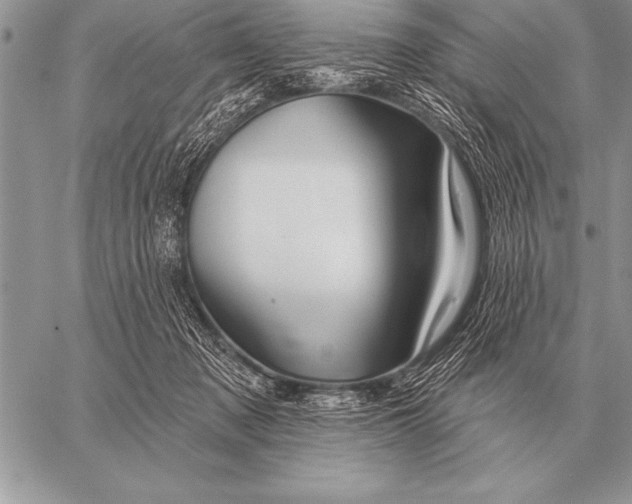 X0000058140317200510171409