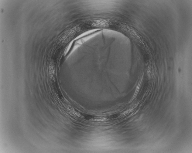 X0000058140322200510171409