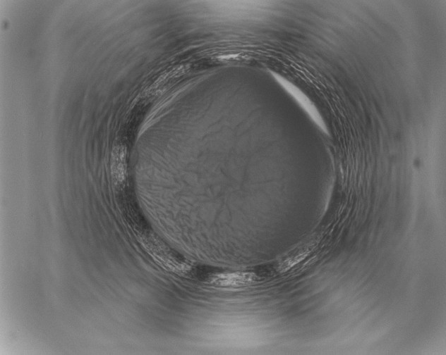 X0000058140323200510171409