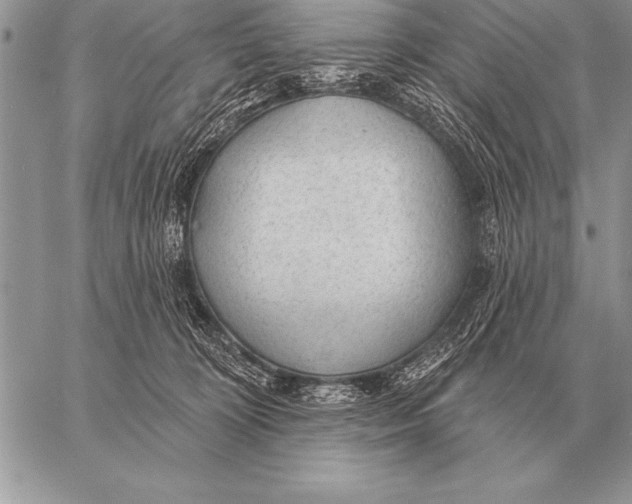 X0000058140324200510171409