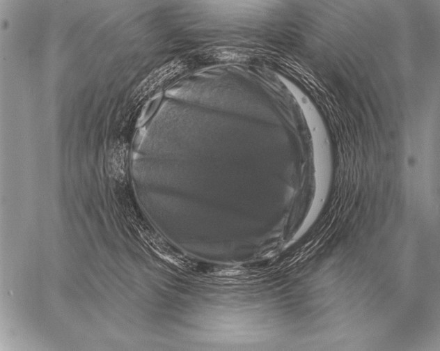 X0000058140325200510171409