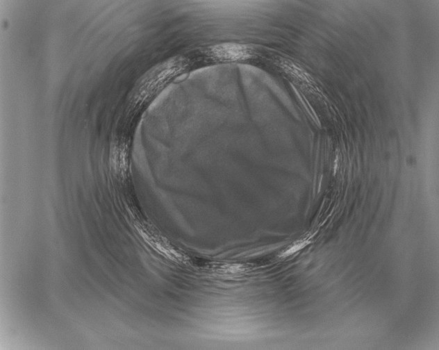 X0000058140330200510171409