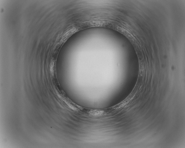 X0000058140334200510171408