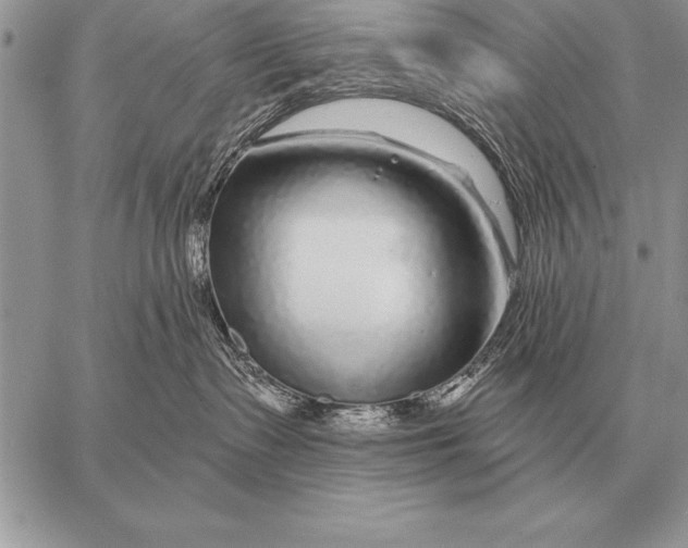X0000058140335200510171408