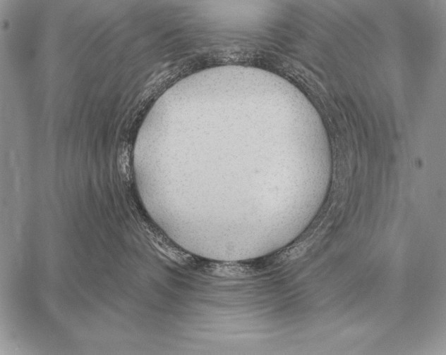 X0000058140336200510171408