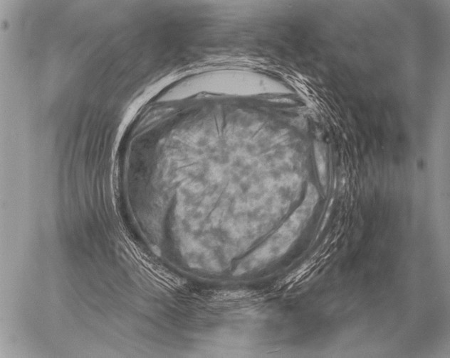 X0000058140342200510171408