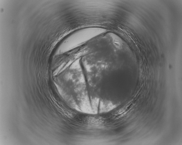 X0000058140346200510171408