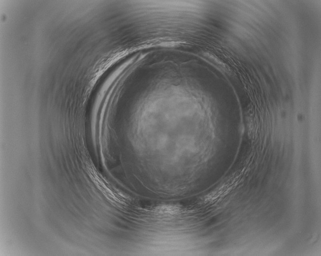 X0000058140350200510171408
