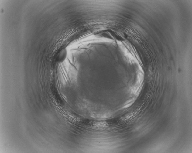 X0000058140355200510171408
