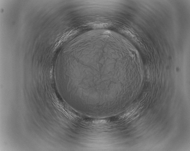 X0000058140357200510171408