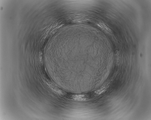 X0000058140361200510171408