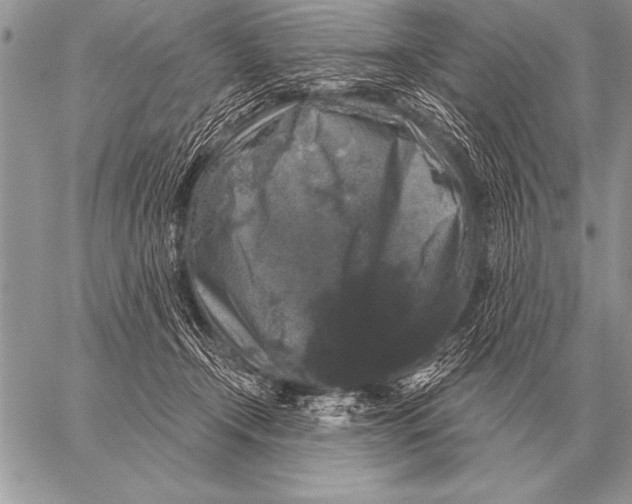 X0000058140366200510171408